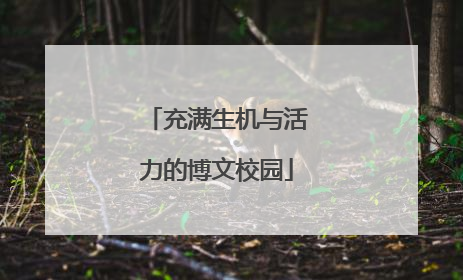 充满生机与活力的博文校园