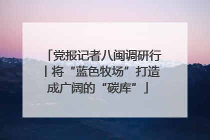 党报记者八闽调研行丨将“蓝色牧场”打造成广阔的“碳库”