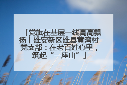 党旗在基层一线高高飘扬丨雄安新区雄县黄湾村党支部：在老百姓心里，筑起“一座山”