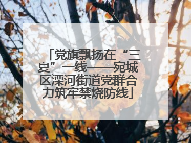 党旗飘扬在“三夏”一线——宛城区溧河街道党群合力筑牢禁烧防线