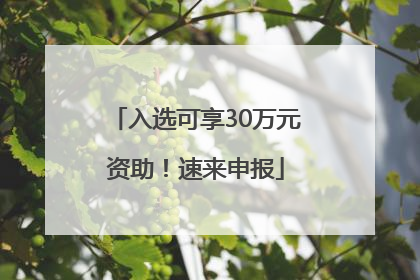 入选可享30万元资助！速来申报