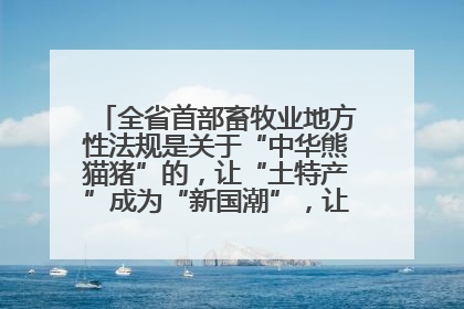 全省首部畜牧业地方性法规是关于“中华熊猫猪”的，让“土特产”成为“新国潮”，让“农产品”升格为“城市IP”
