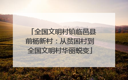 全国文明村镇临邑县前杨新村：从贫困村到全国文明村华丽蜕变