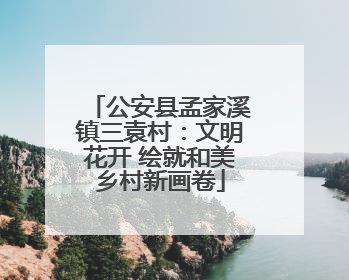 公安县孟家溪镇三袁村：文明花开 绘就和美乡村新画卷