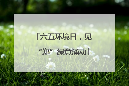 六五环境日，见“郑”绿意涌动