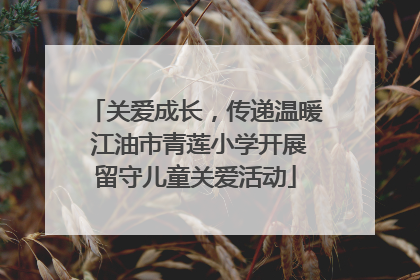 关爱成长，传递温暖 江油市青莲小学开展留守儿童关爱活动