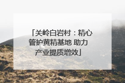 关岭白岩村：精心管护黄精基地 助力产业提质增效