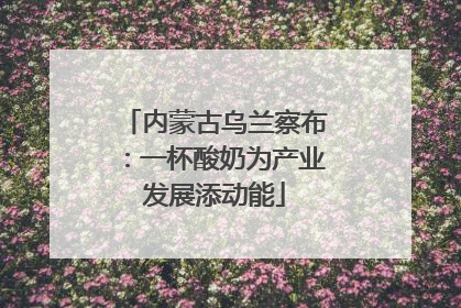 内蒙古乌兰察布：一杯酸奶为产业发展添动能