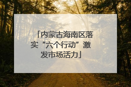 内蒙古海南区落实“六个行动”激发市场活力