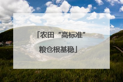 农田“高标准” 粮仓根基稳