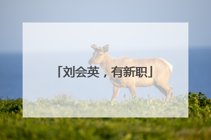 刘会英，有新职