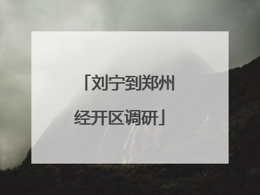 刘宁到郑州经开区调研