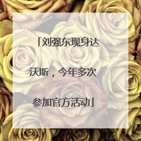 刘强东现身达沃斯，今年多次参加官方活动