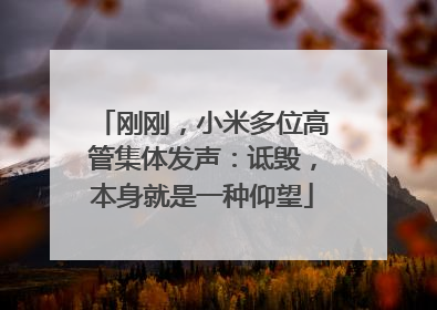 刚刚，小米多位高管集体发声：诋毁，本身就是一种仰望