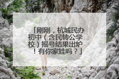 刚刚，杭城民办初中（含民转公学校）摇号结果出炉！有你家娃吗？