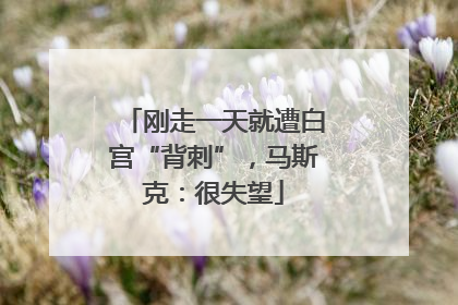 刚走一天就遭白宫“背刺”，马斯克：很失望
