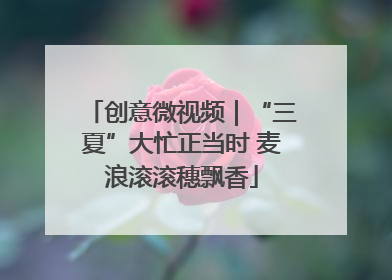 创意微视频｜“三夏”大忙正当时 麦浪滚滚穗飘香
