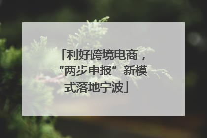利好跨境电商，“两步申报”新模式落地宁波