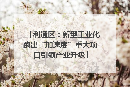 利通区：新型工业化跑出“加速度”重大项目引领产业升级