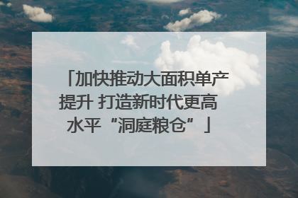 加快推动大面积单产提升 打造新时代更高水平“洞庭粮仓”