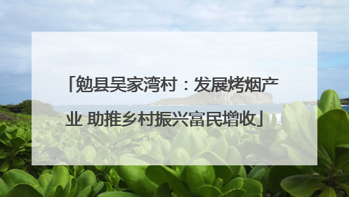勉县吴家湾村：发展烤烟产业 助推乡村振兴富民增收