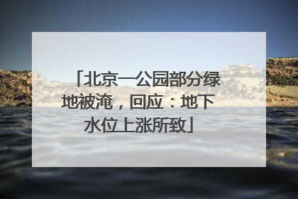 北京一公园部分绿地被淹，回应：地下水位上涨所致