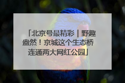 北京号最精彩｜野趣盎然！京城这个生态桥连通两大网红公园