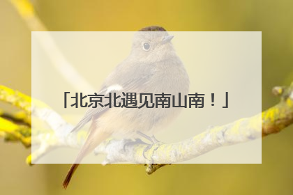 北京北遇见南山南！