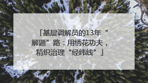 基层调解员的13年“解题”路：用绣花功夫，精织治理“经纬线”