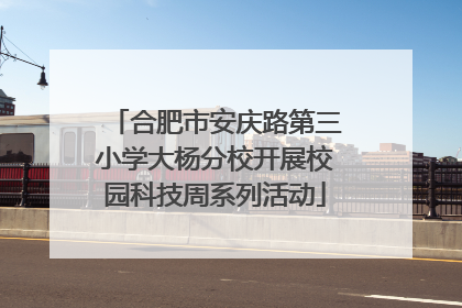 合肥市安庆路第三小学大杨分校开展校园科技周系列活动