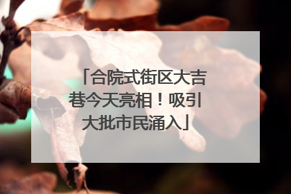 合院式街区大吉巷今天亮相！吸引大批市民涌入