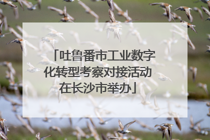 吐鲁番市工业数字化转型考察对接活动在长沙市举办