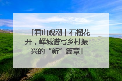 君山观潮｜石榴花开，峄城谱写乡村振兴的“新”篇章