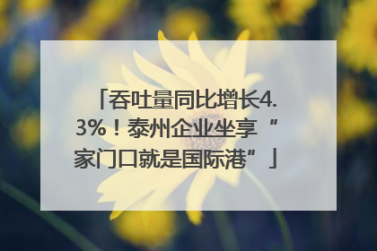 吞吐量同比增长4.3%！泰州企业坐享“家门口就是国际港”