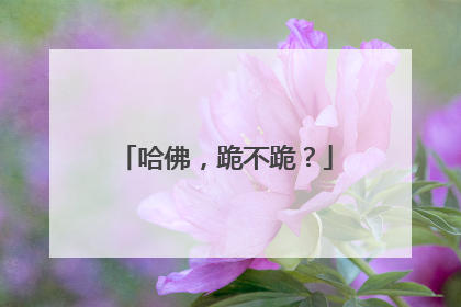 哈佛，跪不跪？