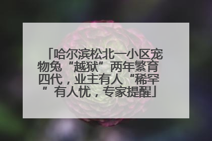 哈尔滨松北一小区宠物兔“越狱”两年繁育四代，业主有人“稀罕”有人忧，专家提醒