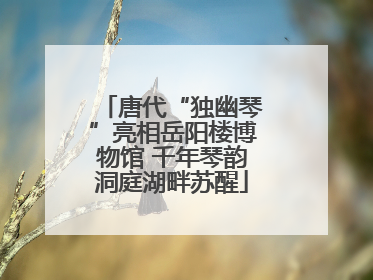 唐代“独幽琴”亮相岳阳楼博物馆 千年琴韵洞庭湖畔苏醒