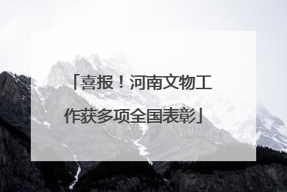 喜报！河南文物工作获多项全国表彰