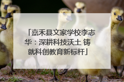 嘉禾县文家学校李志华：深耕科技沃土 铸就科创教育新标杆