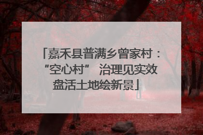 嘉禾县普满乡曾家村：“空心村” 治理见实效 盘活土地绘新景