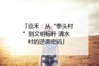 嘉禾：从“拳头村”到文明标杆 清水村的逆袭密码