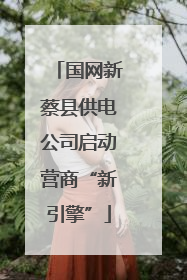 国网新蔡县供电公司启动营商“新引擎”