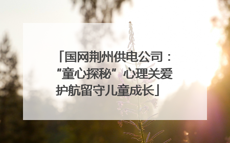 国网荆州供电公司：“童心探秘”心理关爱护航留守儿童成长