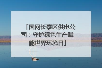 国网长泰区供电公司：守护绿色生产赋能世界环境日