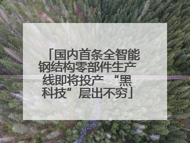 国内首条全智能钢结构零部件生产线即将投产 “黑科技”层出不穷