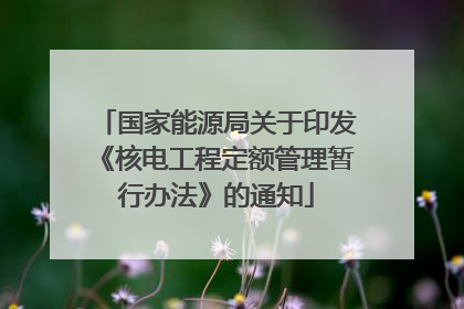 国家能源局关于印发《核电工程定额管理暂行办法》的通知