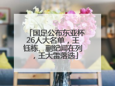 国足公布东亚杯26人大名单，王钰栋、蒯纪闻在列，王大雷落选