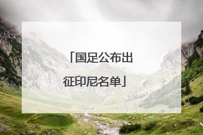 国足公布出征印尼名单