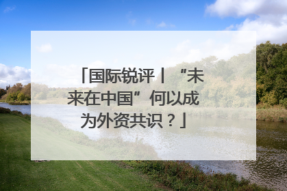 国际锐评丨“未来在中国”何以成为外资共识？