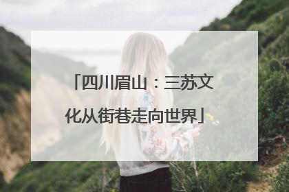 四川眉山：三苏文化从街巷走向世界